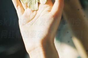 169.sk发布：咱们今天唠瓜，网红们的姿态真是亮了哦！