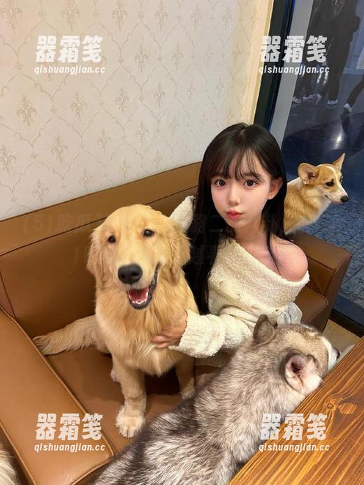 51吃瓜 朝阳群众线路二的八卦,在“51吃瓜”网站上越看越入迷!
