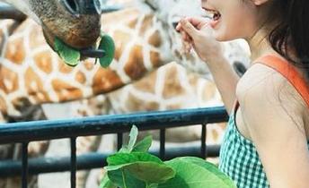 最新91吃瓜的爆料，看完我真是：算了，不聊了，心累了