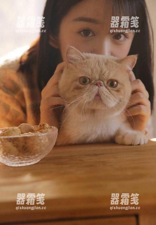五一吃瓜群众 在哪里吃瓜?今日“五一吃瓜群众”的地址被疯狂暴露了!